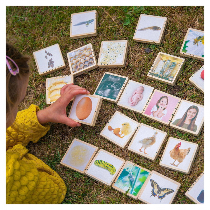 Ciclurile vietii, set placute din lemn, 24 buc., TickiT, 1-9 ani [4]