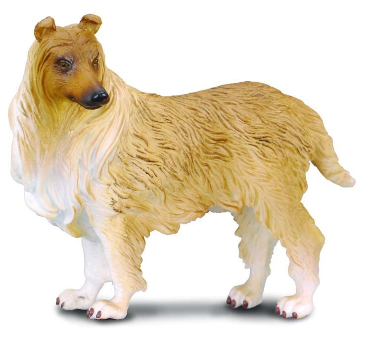 Collie cu par sarmos L Collecta [1]