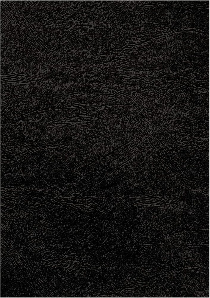 Coperti carton a3 negre 100/top fellowes [3]