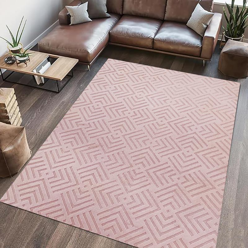 Covor blanita dover 200x300 cm rose [3]