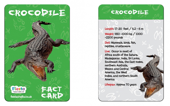 Crocodilul vesel - Kit de creatie din plastilina si lemn [5]