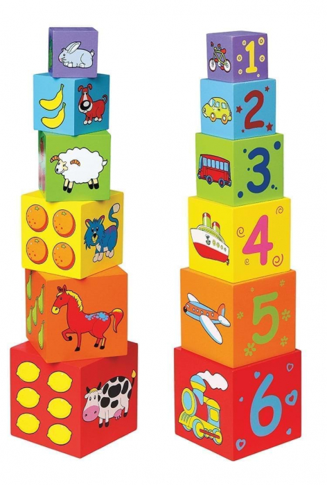 Cuburi de lemn Viga Toys [1]