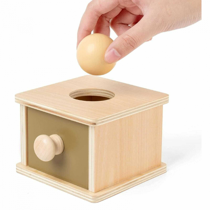 Cutia permanentei din lemn, cu sortator bile - Micostore.ro [2]