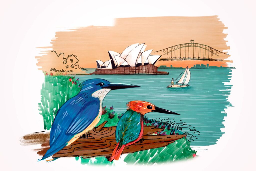 Cutie 12 culori pitt artist pen cities sydney faber-castell [5]
