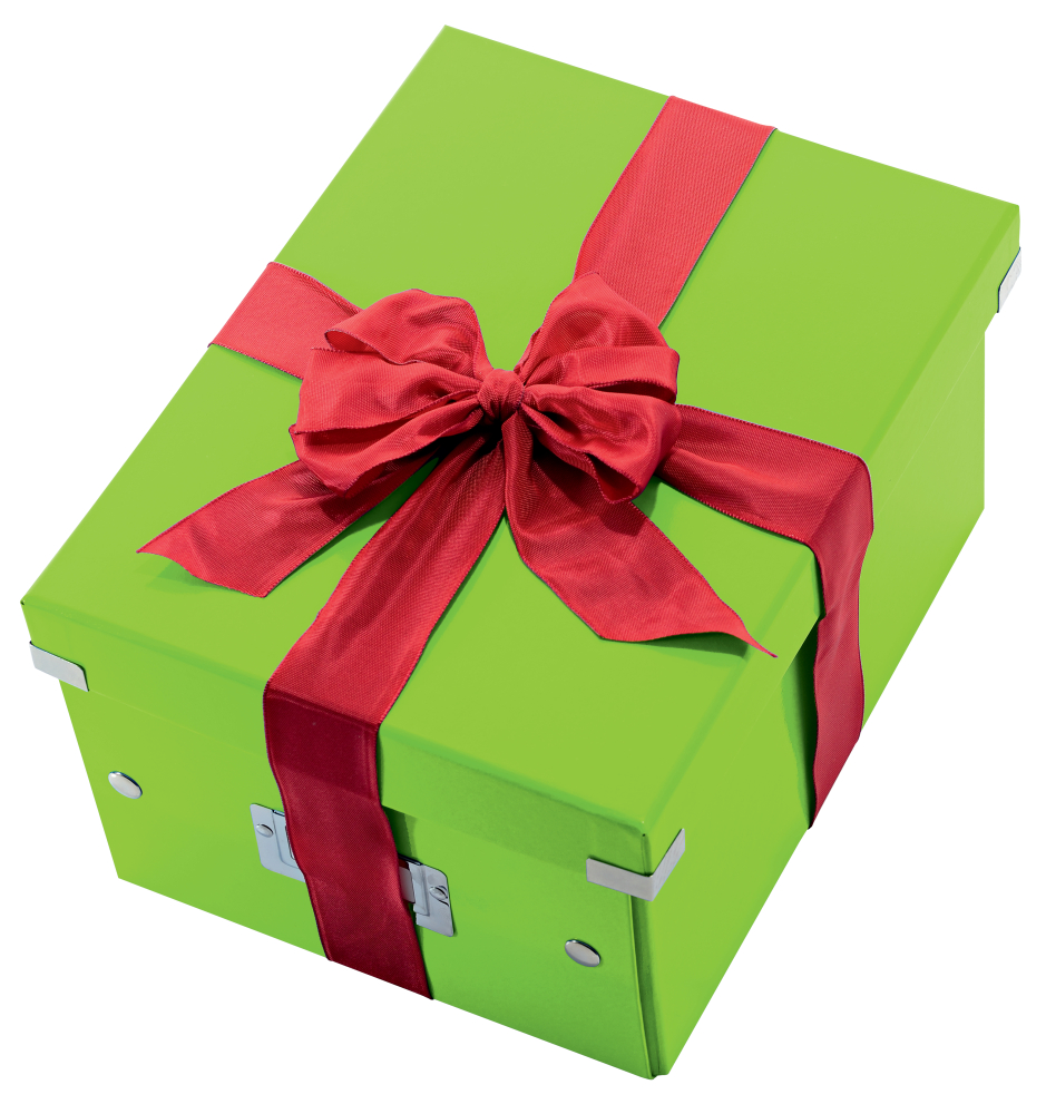 Cutie depozitare medie verde click&store leitz [5]