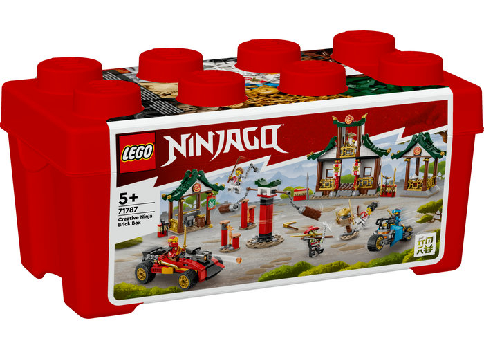 Cutie Ninja cu caramizi, varsta de la 5 ani la 12 ani [2]