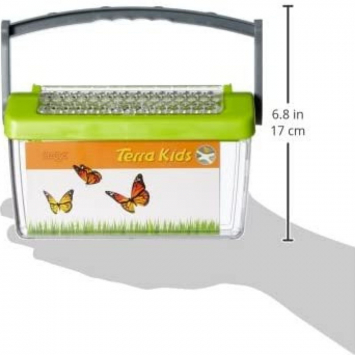 Cutie pentru insecte,Terra Kids ⭐ Micostore.ro [7]
