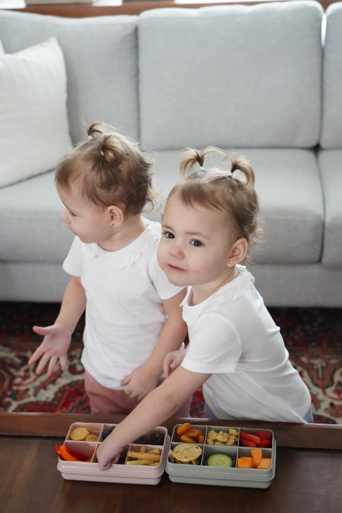 Cutie snack 6 compartimente, melii, grey [2]