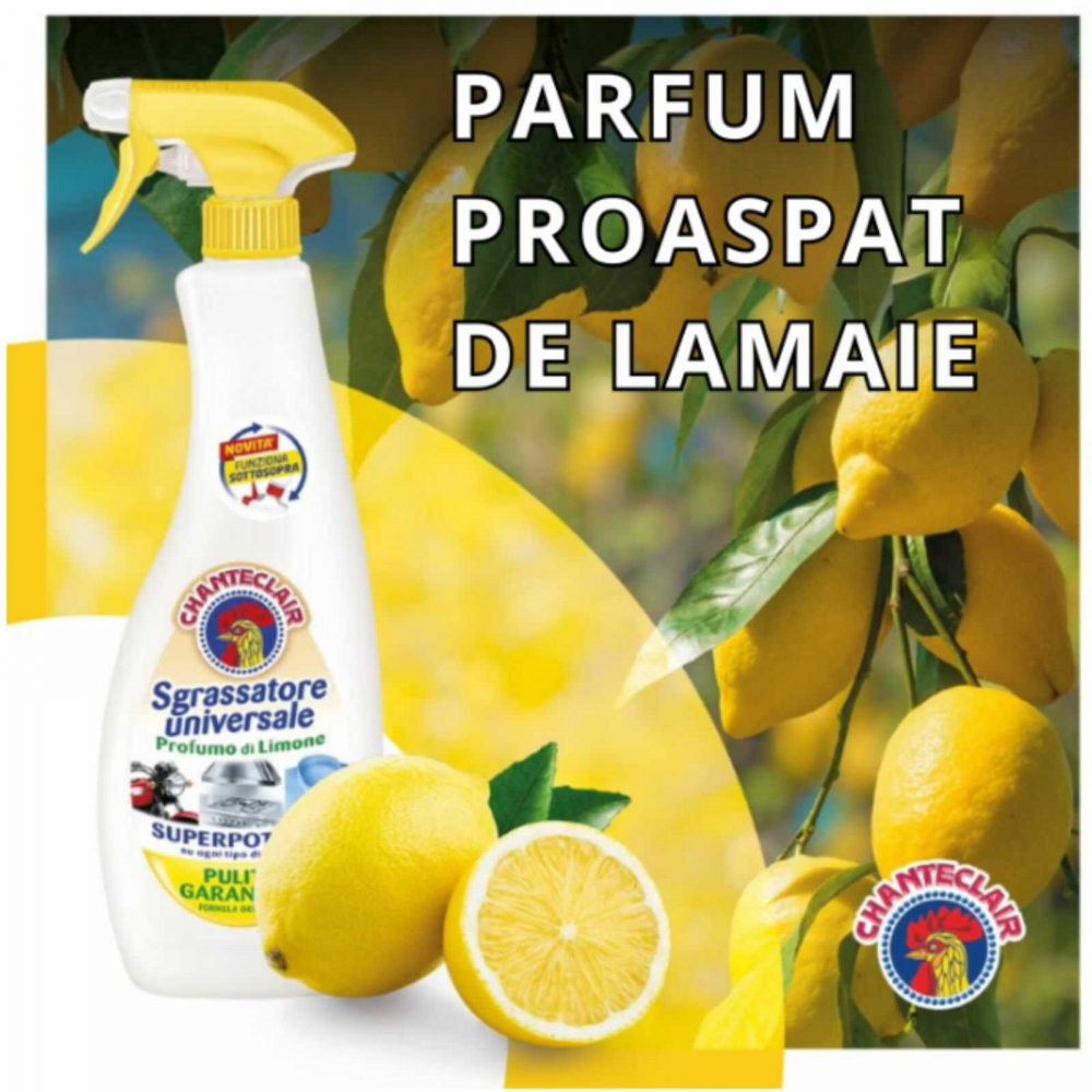 Sgrassatore degresant universal spray, 600ml, lamaie [8]