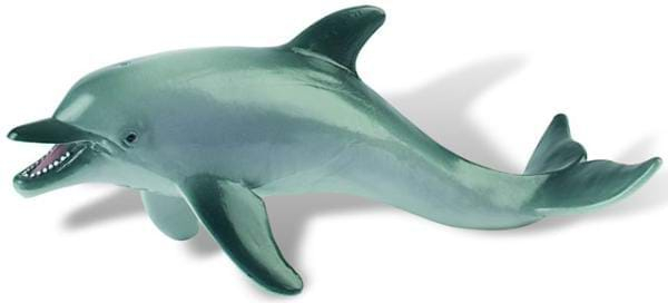 Delfin [1]