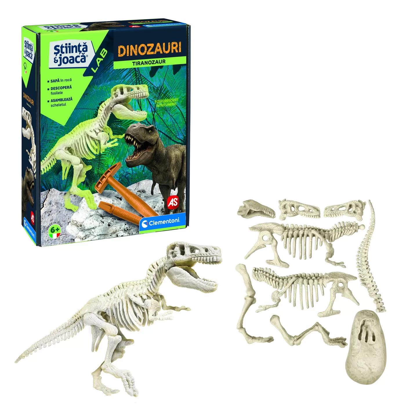 Stiinta si Joaca: Tiranozaur T-Rex, descopera dinozaurii, varsta de la 6 ani la 9 ani [5]