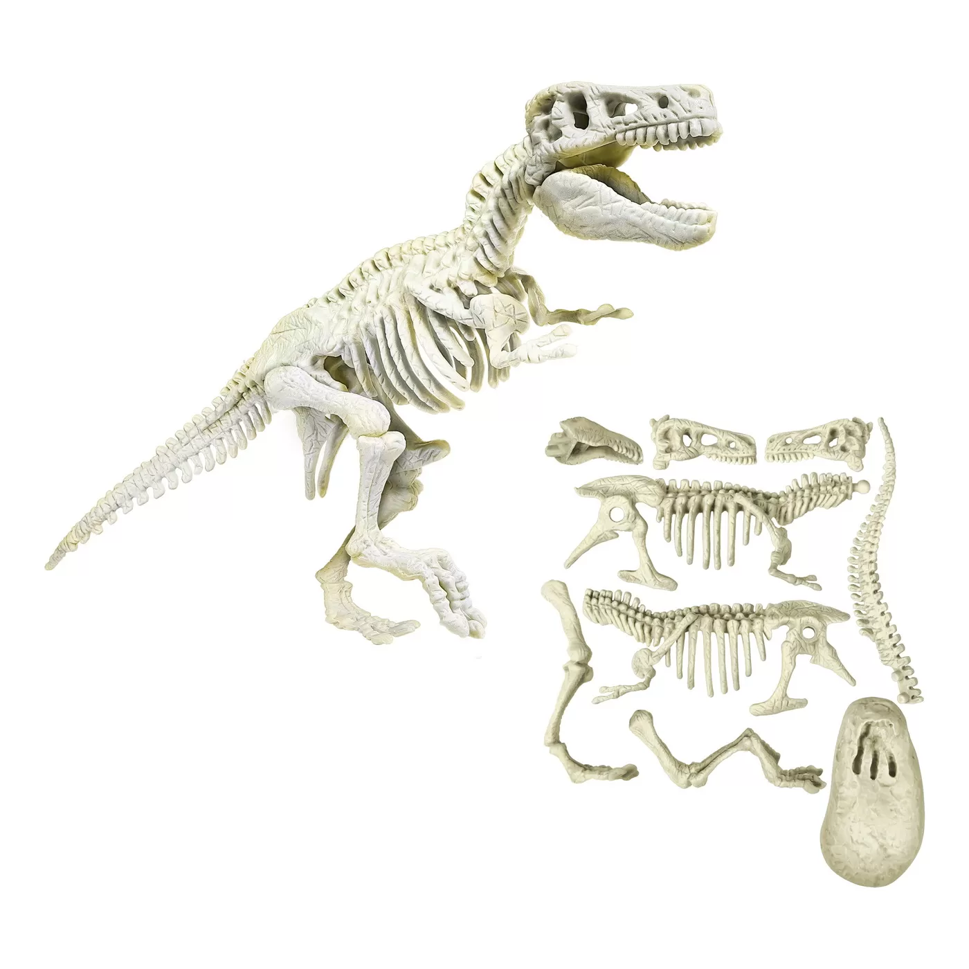 Stiinta si Joaca: Tiranozaur T-Rex, descopera dinozaurii, varsta de la 6 ani la 9 ani [2]