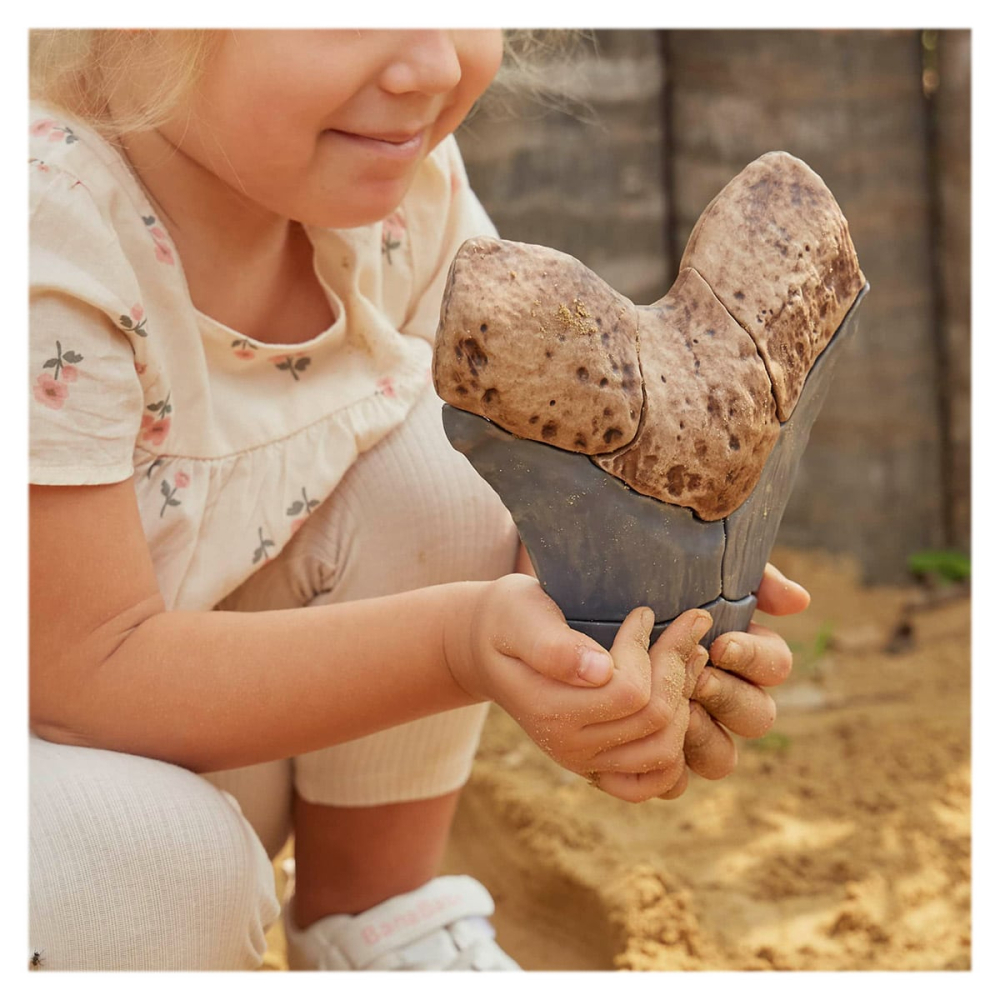 Dinte Megalodon, set magnetic 3D, Guidecraft, copii varsta 5+ ani [4]