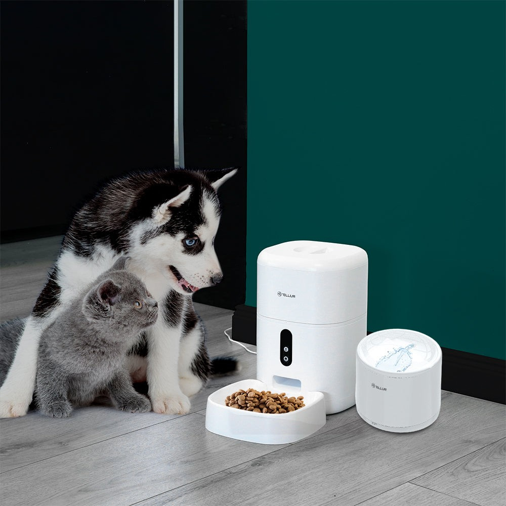 Dispenser apă animale WiFi Tellur Smart, 2L, Alb [7]