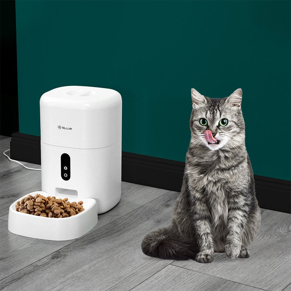Dispenser hrană animale WiFi Tellur Smart, Cameră UltraHD, 4L, Alb [6]