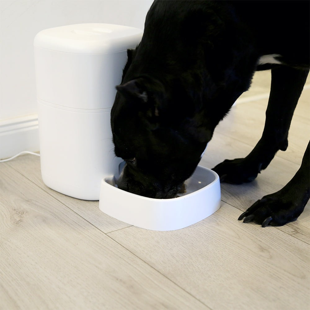 Dispenser hrană animale WiFi Tellur Smart, Cameră UltraHD, 4L, Alb [8]