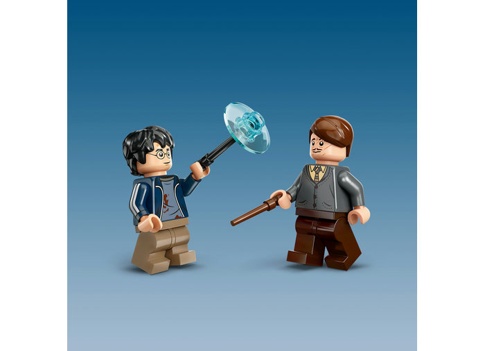 Expecto Patronum, varsta de la 14 ani la +15 ani [6]