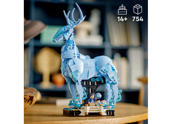 Expecto Patronum, varsta de la 14 ani la +15 ani [4]