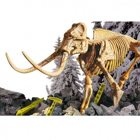 Experimentele micului geniu - Kit paleontologie mamut [2]