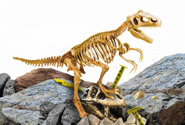 Experimentele micului geniu - Kit paleontologie T-Rex [2]