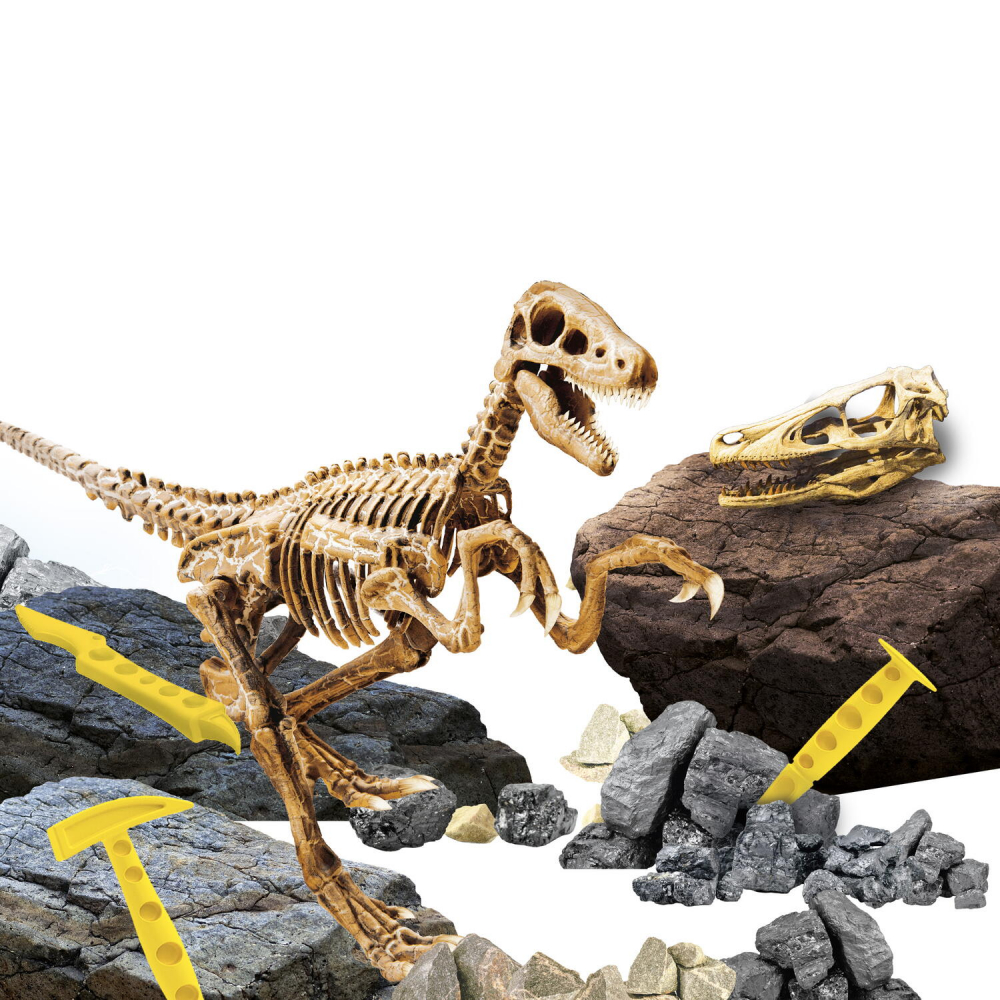 Experimentele micului geniu - Kit paleontologie Velociraptor [3]