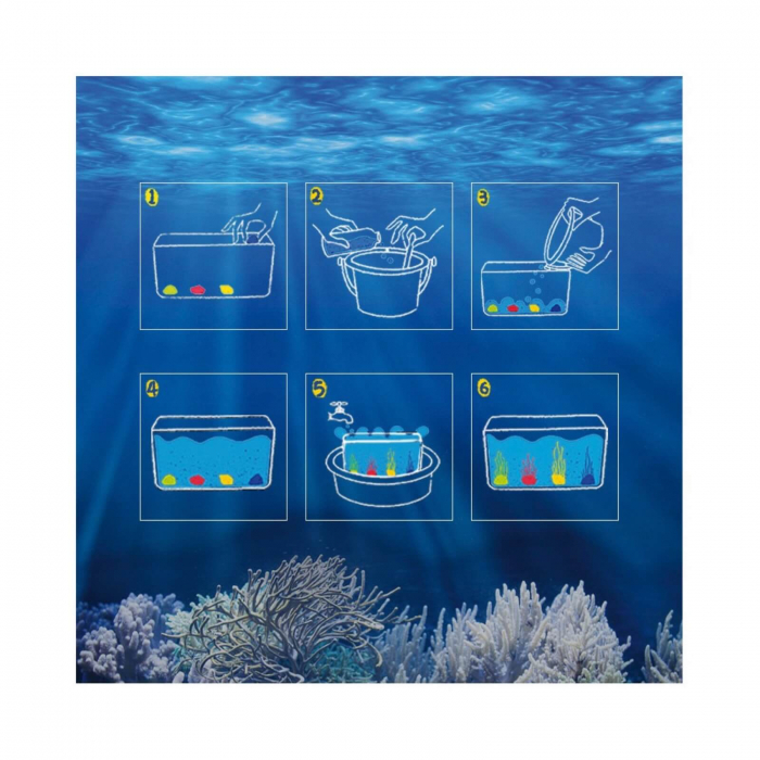 Stiinta si Joaca. Set Educativ de Experimente, Ocean - MiDeer [5]