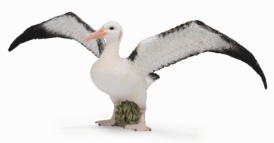 Figurina Albatros Ratacitor L Collecta [1]