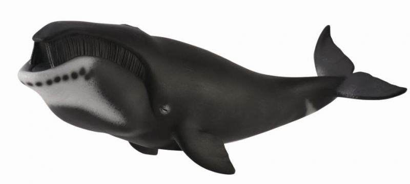 Figurina Balena Bowhead XL Collecta [1]