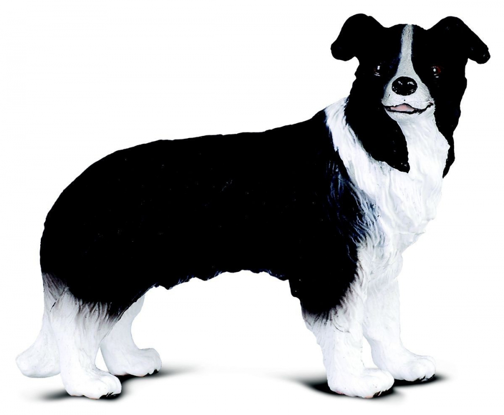Figurina Border Collie [1]