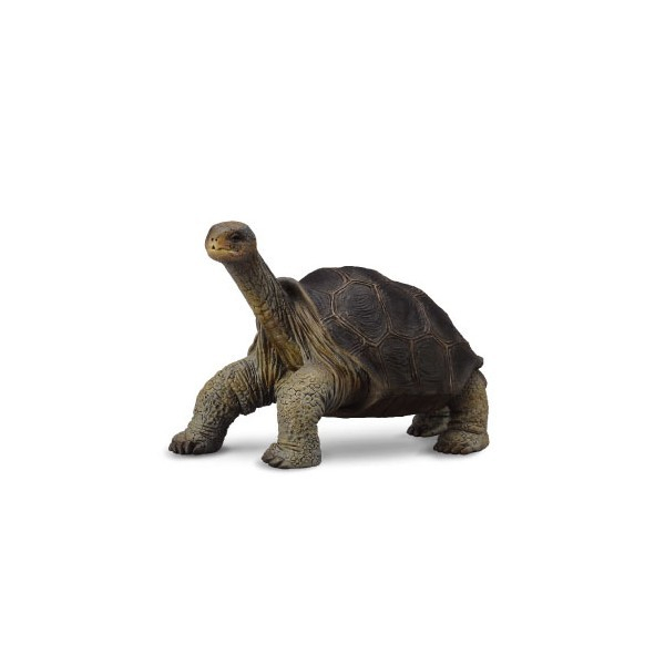 Figurina Broasca Testoasa din Pinta Island M Collecta [1]