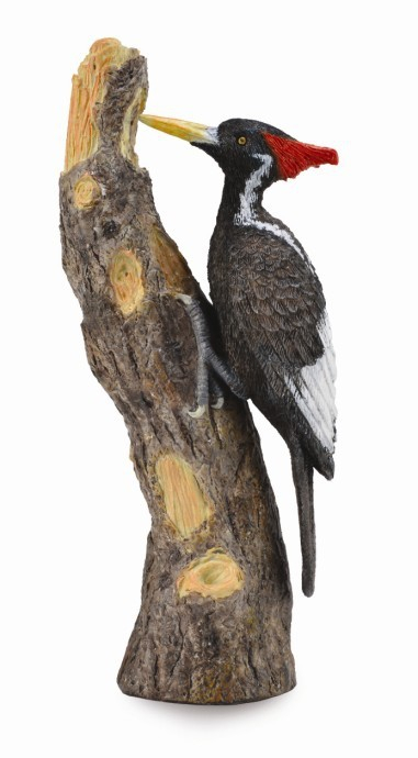 Figurina Ciocanitoare L Collecta [1]