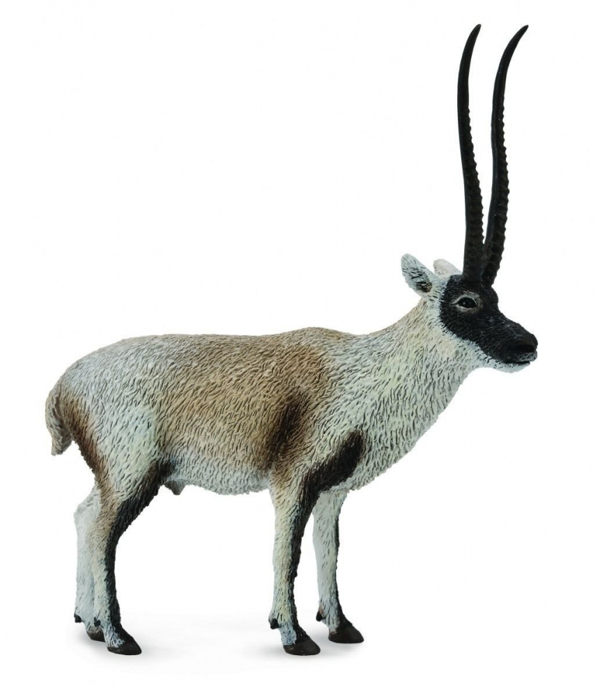 Figurina Gazela Chiru L Collecta [1]