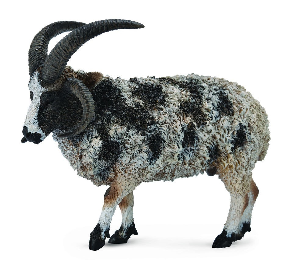 Figurina Jacob Sheep L Collecta [1]