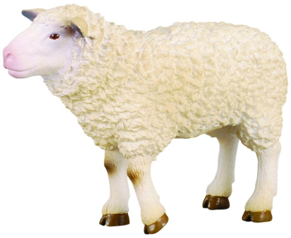 Figurina oaie Collecta [1]
