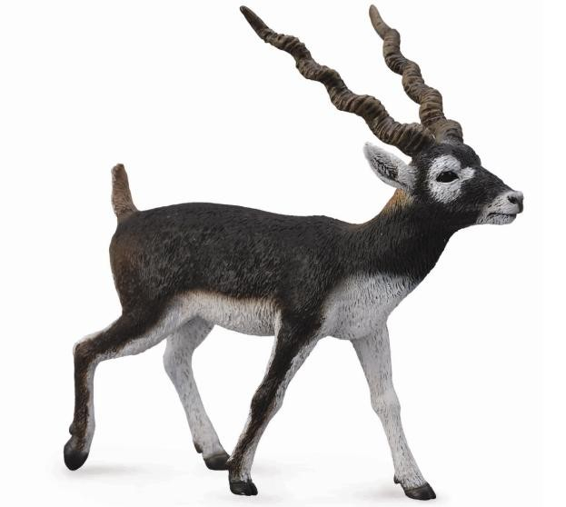 Figurina pictata manual Antilopa Blackbuck [1]
