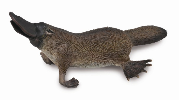 Figurina Platypus M Collecta [1]
