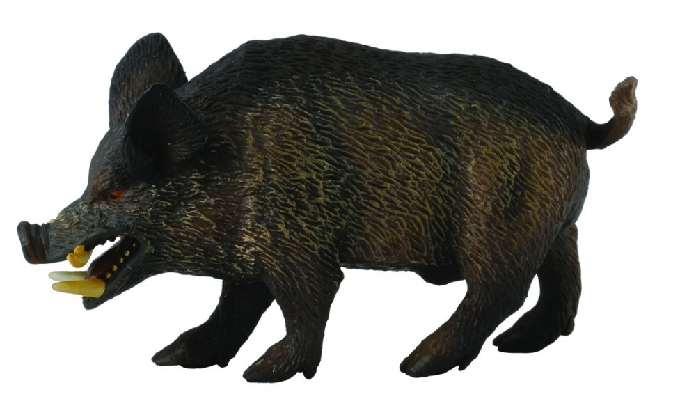 Figurina Porc Mistret M Collecta [1]