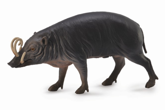 Figurina Porc Sulawesi Babirusa L Collecta [1]