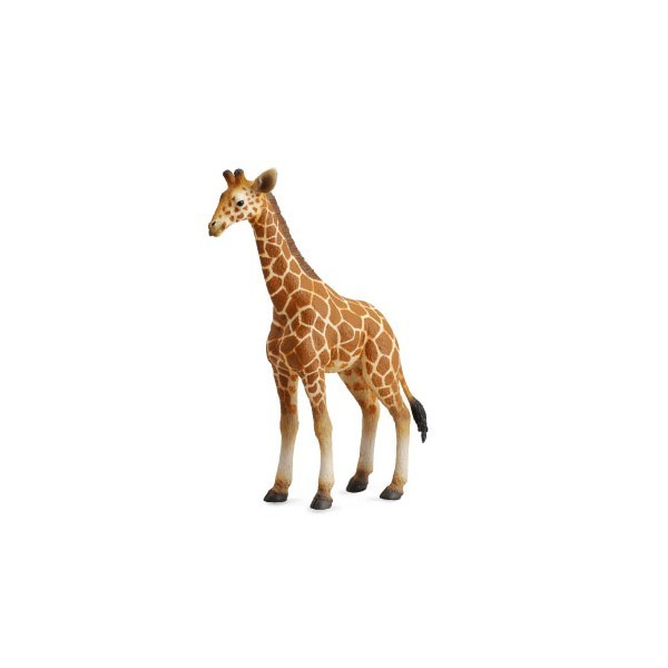 Figurina Pui de Girafa L Collecta [1]