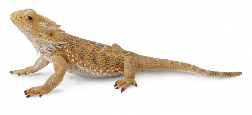 Figurina Soparla Dragon cu barba L Collecta [1]