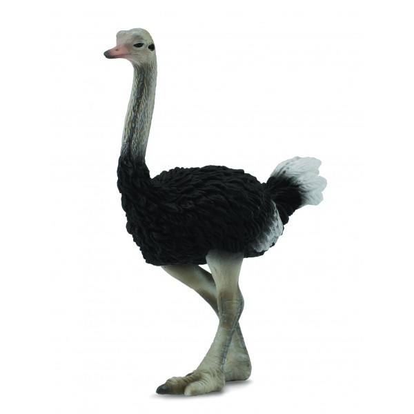 Figurina Strut L Collecta [1]