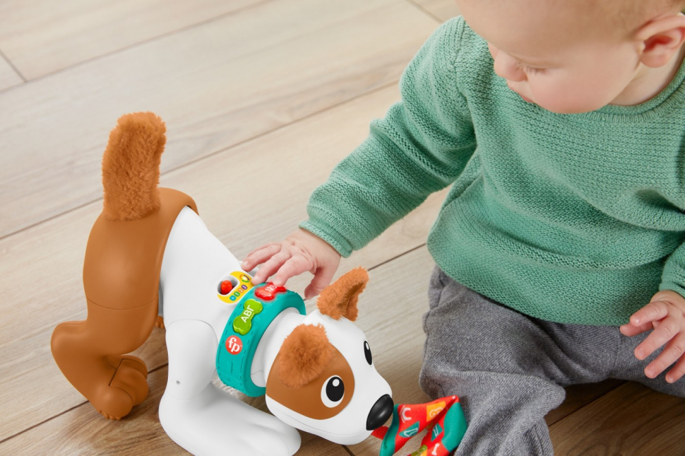 Fisher price catelus crawl with me, varsta de la 6 luni la 3 ani [4]