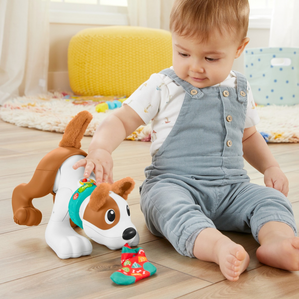 Fisher price catelus crawl with me, varsta de la 6 luni la 3 ani [5]