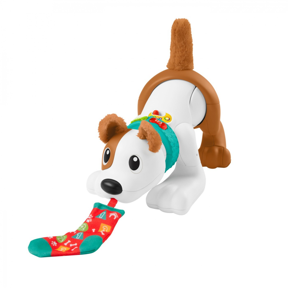 Fisher price catelus crawl with me, varsta de la 6 luni la 3 ani [2]