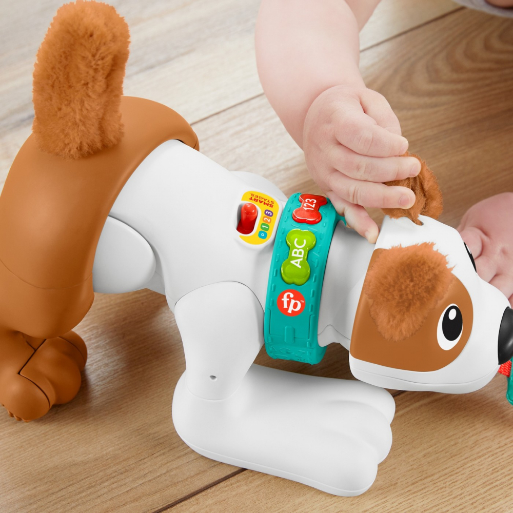Fisher price catelus crawl with me, varsta de la 6 luni la 3 ani [7]