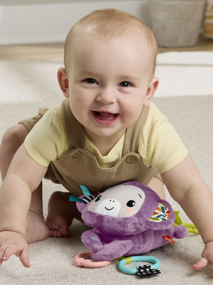 Fisher price jucarie de agatat maimutica mov muzicala copii varsta 0 luni - 2 ani [7]