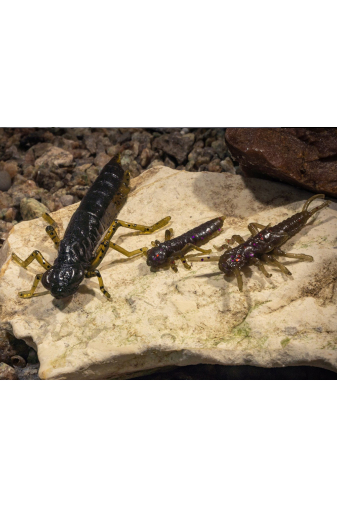 FishUp Dragonfly 2cm #036 Caramel Green & Black 2cm #036 Caramel Green & Black [2]