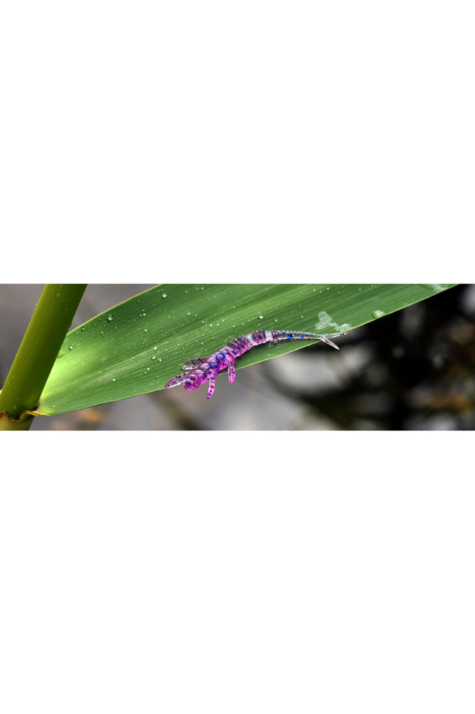 FishUp Flit 4.1cm #057 Bluegill 4.1cm #057 Bluegill [2]