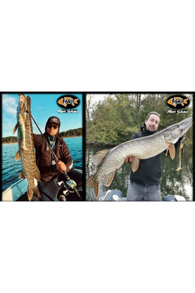 FishUp RAM Shad 20.3cm #359 Baby Minnow 20.3cm #359 Baby Minnow [4]