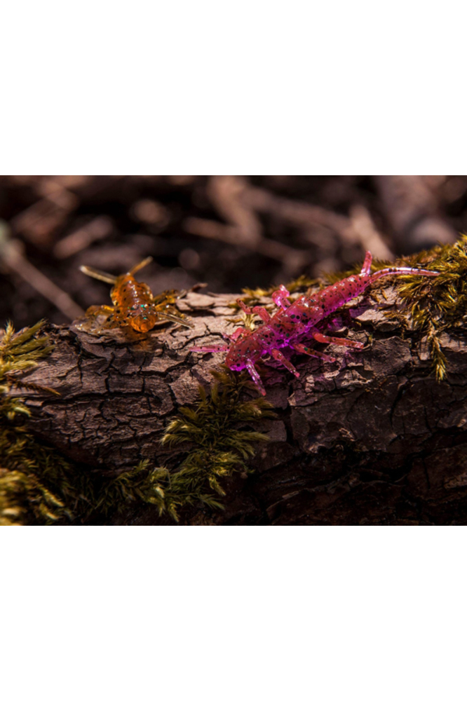 FishUp Stonefly 2.1cm #042 Watermelon Seed 2.1cm #042 Watermelon Seed [2]
